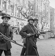 Ούγγροι επαναστάτες Νοέμβριος 1956